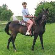 witez-black-arabians.com Kaandi
