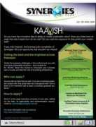 lahore.metblogs.com Kaavish