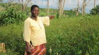 Kabaale
