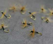 dragontailtenkara.com Kabari