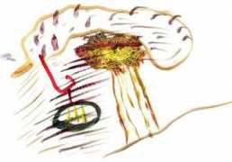 arts.bdnews24.com Kabita