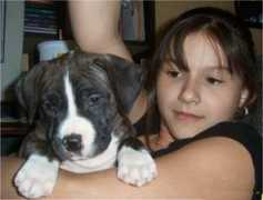 truekennels.com Kabrina
