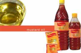 tradeindia.com Kacchi
