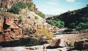 Kachana
