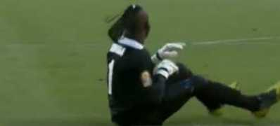theoriginalwinger.com Kadiba