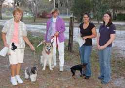 pascopaws.com Kaedo
