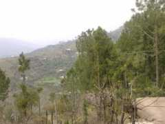 Kaffal