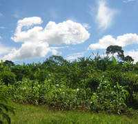 kagera.org Kagera