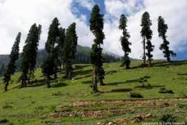 Kaghan