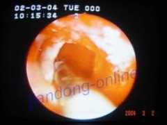 facialent.net Kaidie