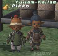 ffxi.allakhazam.com Kailam