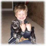 ludwigsminischnauzers.com Kailen