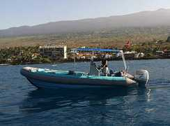 dolphindiscoveries.com Kaimana