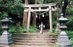 iokikai.or.jp Kaizin