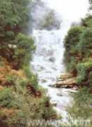 Kakahi