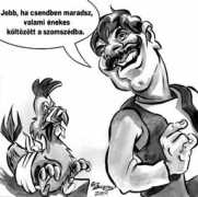 Kakas