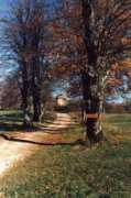 .arnes.si Kalec