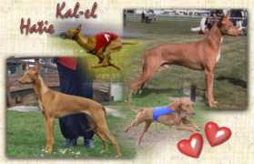 Kalel