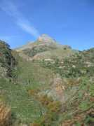 Kalfa