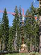 ropeways.net Kalifo