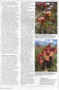 plantzafrica.com Kalks