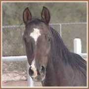 sovereignfarm.com Kalliste