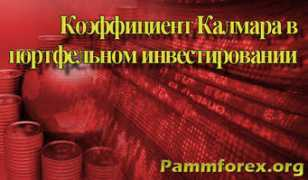 pammforex.org Kalmara