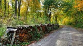 panoramio.com Kalnik