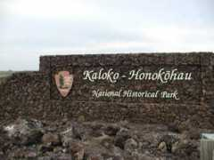 Kaloko
