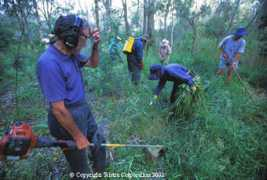 northeast.landcarevic.net.au Kaluna