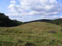 Kalva