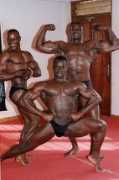 musclemeddy.st20.com Kalyango