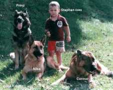 gsdwebsite.com Kalytta