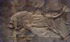 Kamash