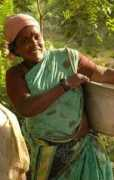 terreindienne.free.fr Kamatchi