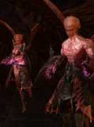 lineage2-info.pl Kameal
