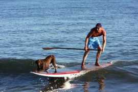 standuppaddlesurfer.com Kamiah