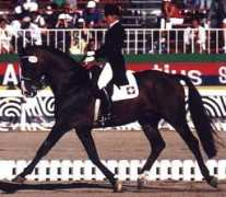 swedishwarmblood.sandsholm.se Kamilly
