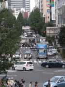 Kamisugi