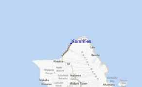 Kammies