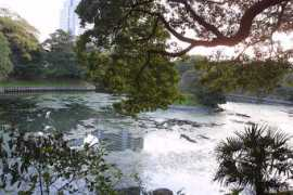 asahi-net.or.jp Kamoba