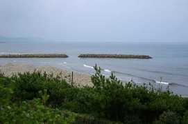 Kamoshima