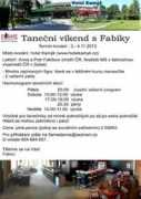 flamedance.cz Kamyk