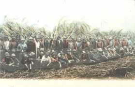 Kanakas