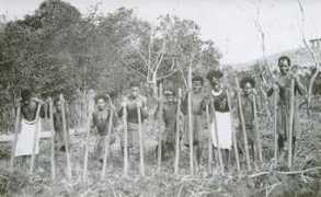 Kanakas