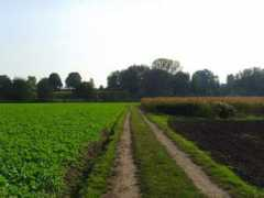 panoramio.com Kanals