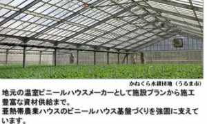 okihan.co.jp Kanekura