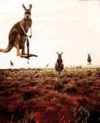fun4all.dk Kangaroo