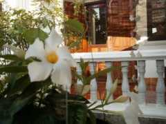 bloggang.com Kangsadal