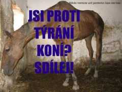 Kanik